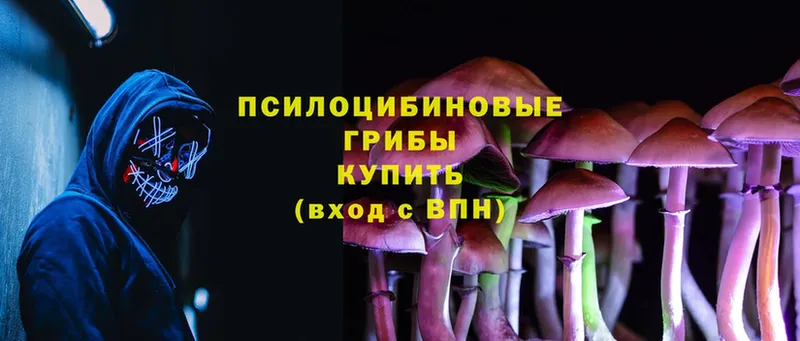 Галлюциногенные грибы MAGIC MUSHROOMS  магазин  наркотиков  Лакинск 